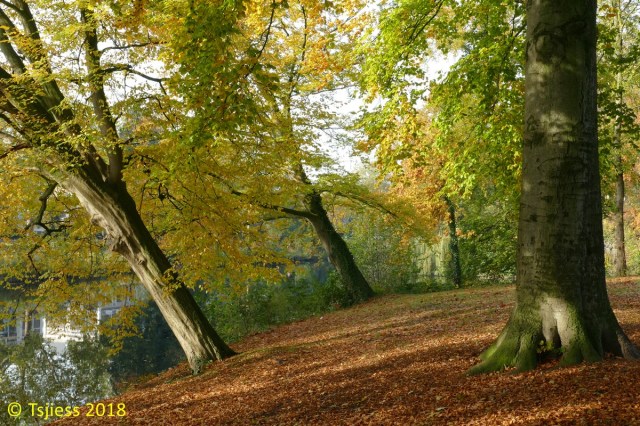 Marskramerpad 2018-11-03 01