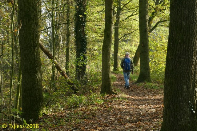 Marskramerpad 2018-11-03 09