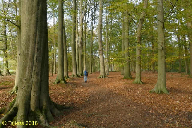 Marskramerpad 2018-11-03 10