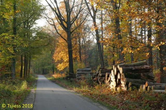 Marskramerpad 2018-11-03 12