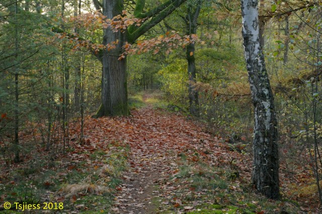 Marskramerpad 2018-11-03 14