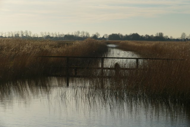 2020-01-06 Kleimeer 03