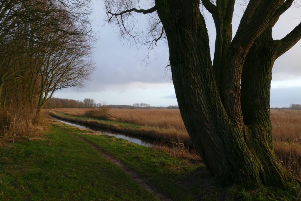 2020-01-10 01 Kleimeer