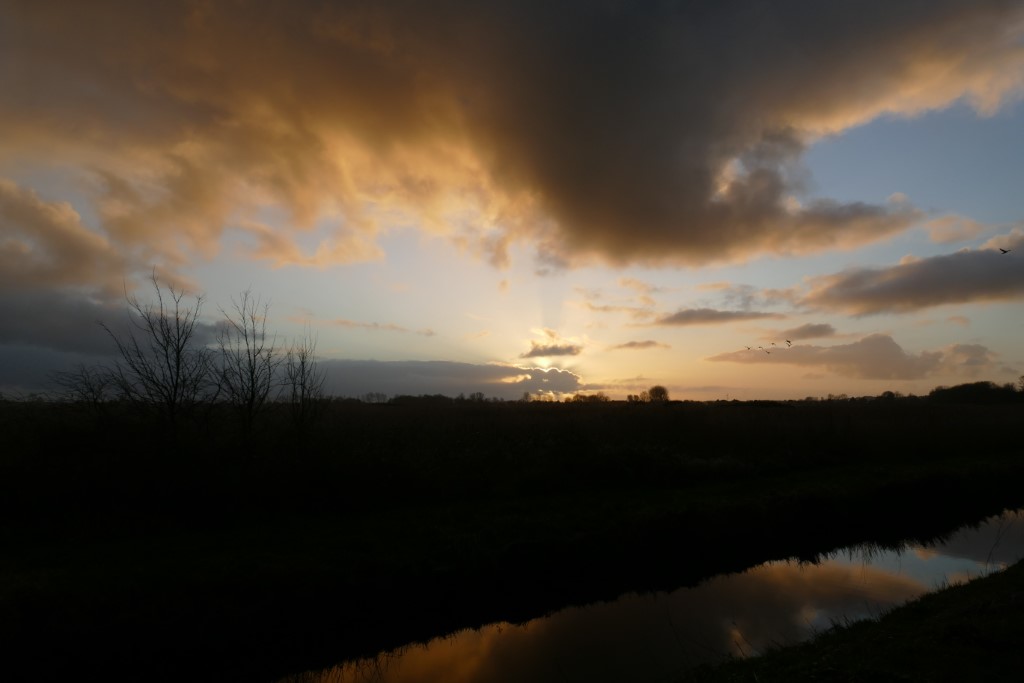 2020-01-10 02 Kleimeer