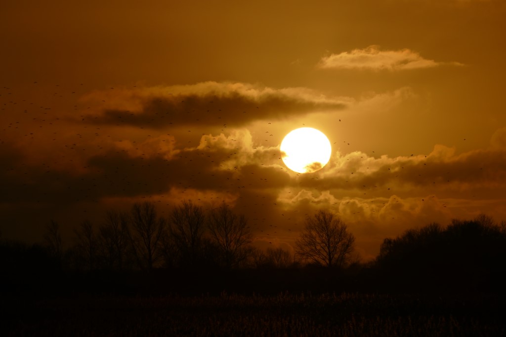 2020-01-10 04 Kleimeer