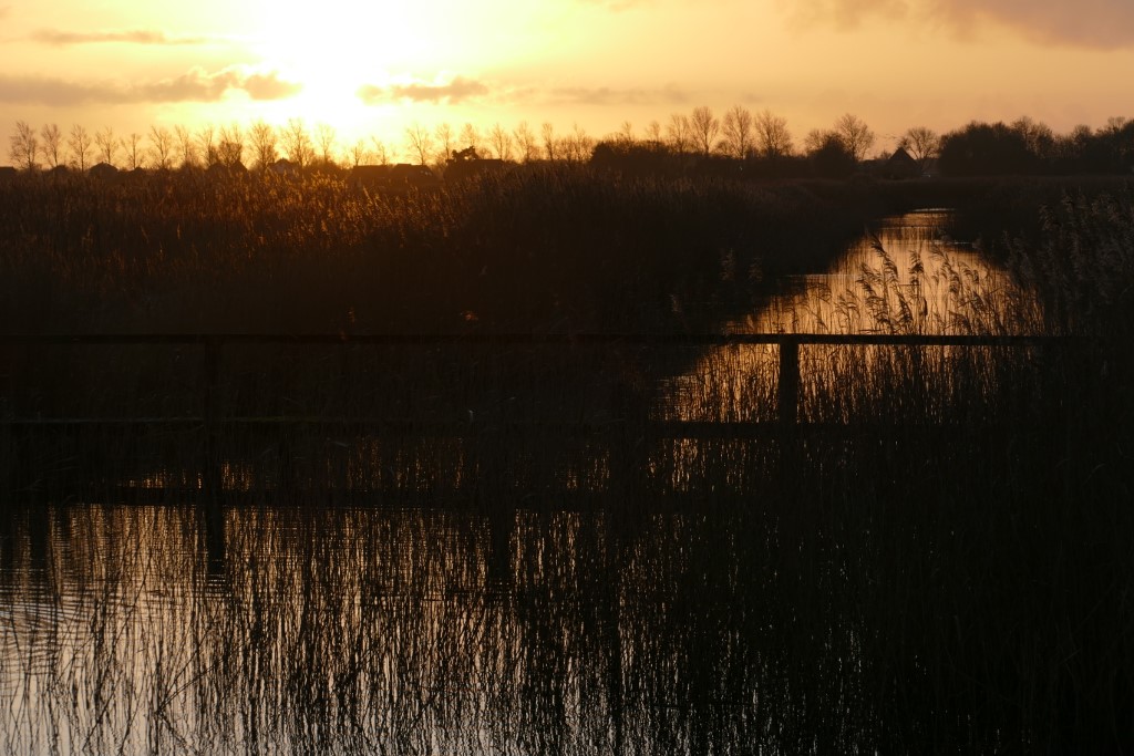 2020-01-10 04 Kleimeer