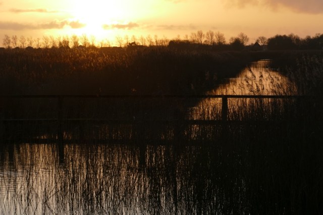 2020-01-10 04 Kleimeer