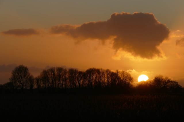 2020-01-10 05 Kleimeer