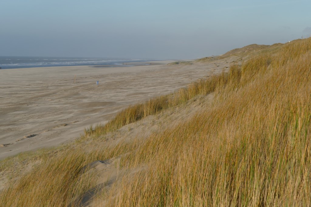 2020-01-13 Egmond 03