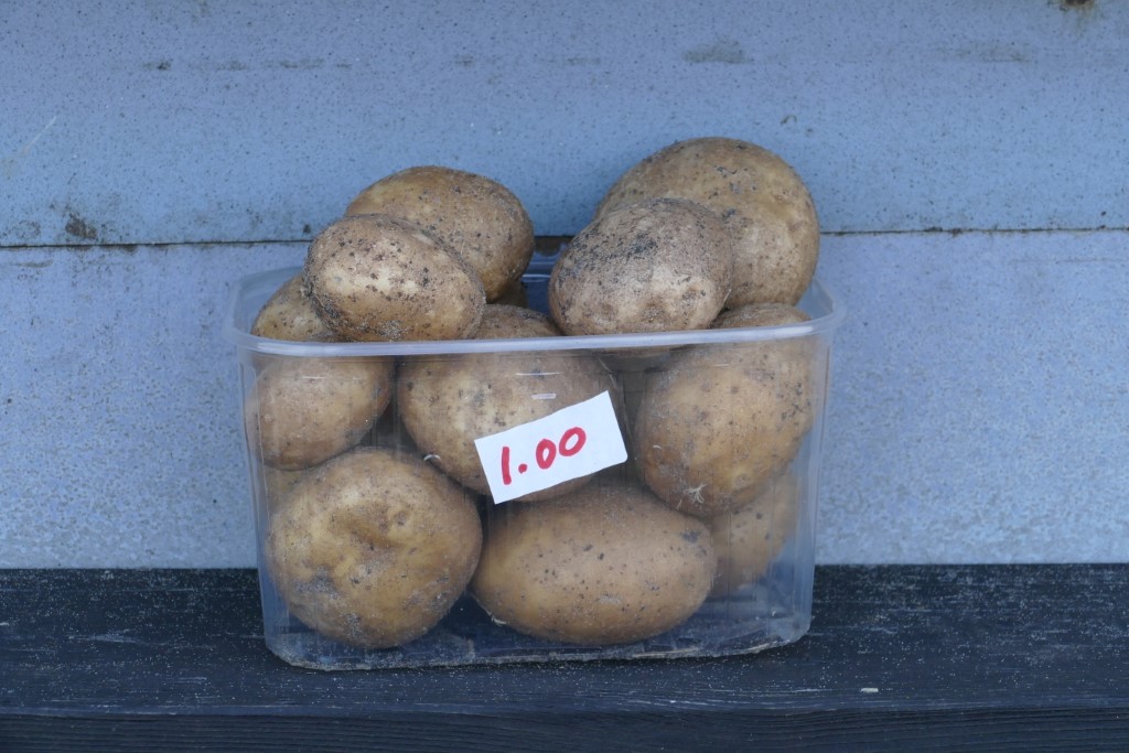 2020-01-13 Egmond 05