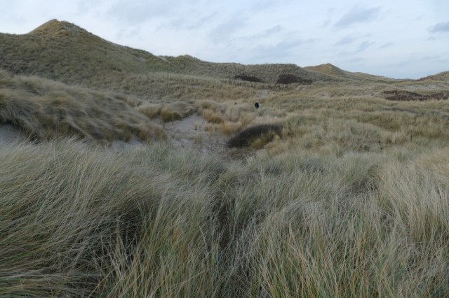 2020-01-13 Egmond 07