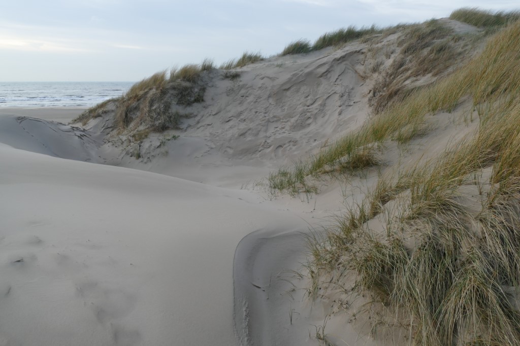 2020-01-13 Egmond 08