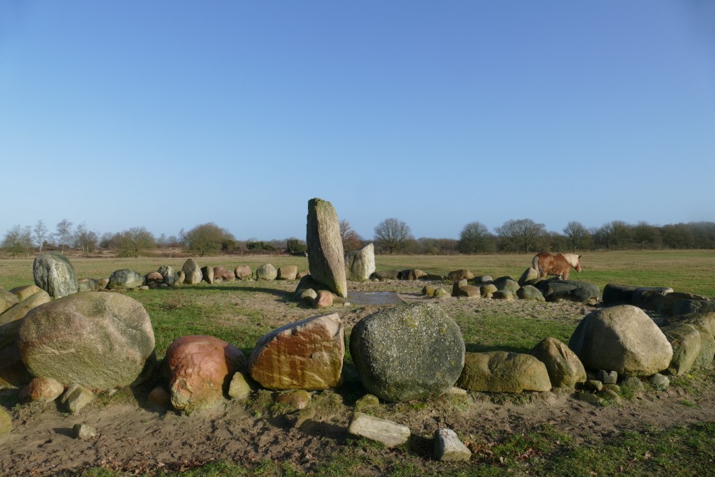 2020-01-19 Ballooërveld 04
