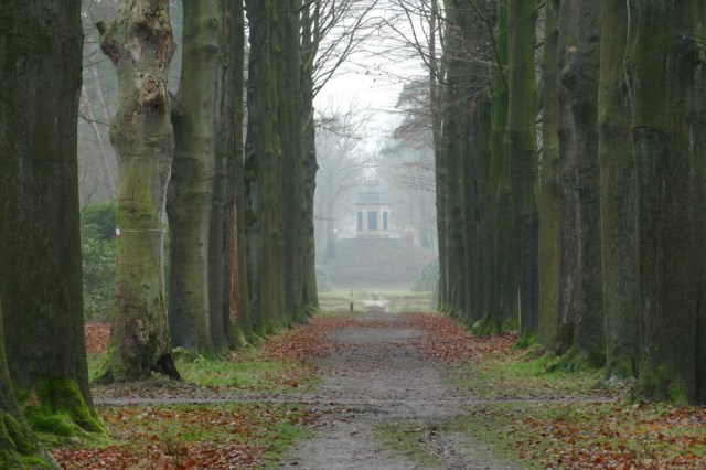 2020-01-25 Moretusbossen Stabroek 02