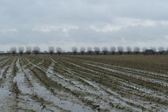 2020-01-27 Groene Wissel Ammerzoden 05
