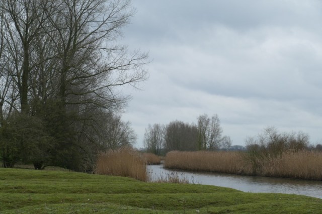 2020-01-27 Groene Wissel Ammerzoden 10