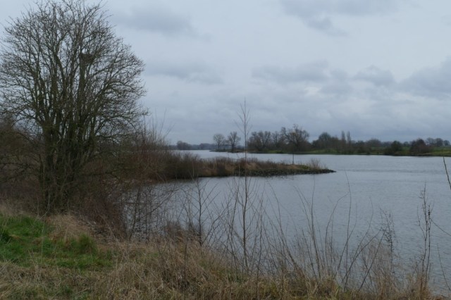 2020-01-27 Groene Wissel Ammerzoden 13