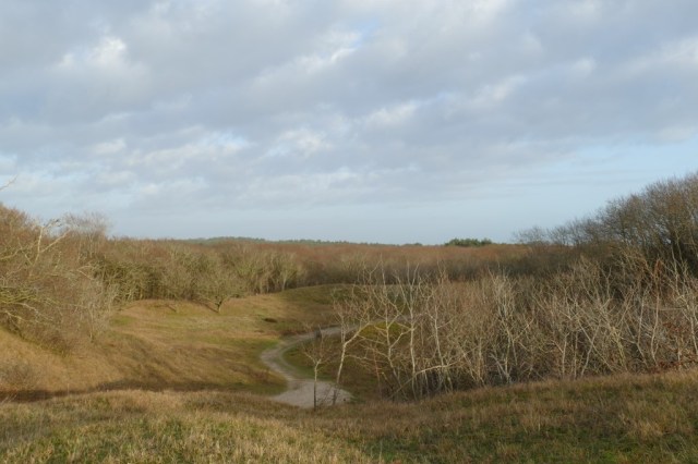 2020-02-01 Verbrande Pan 04