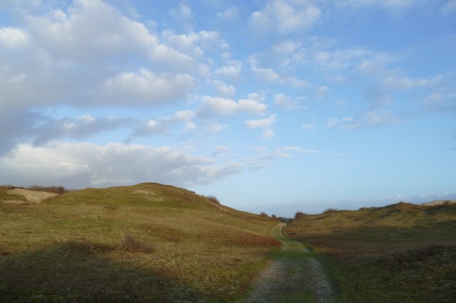 2020-02-01 Verbrande Pan 05