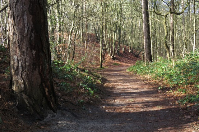 2020-03-11 02 Duinwandeling