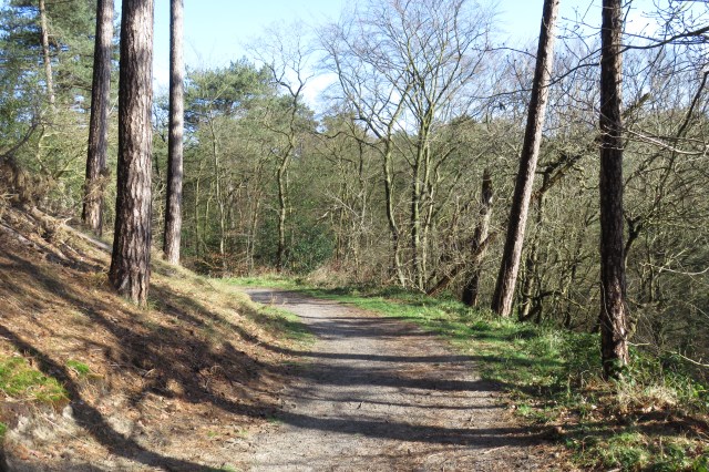 2020-03-11 04 Duinwandeling