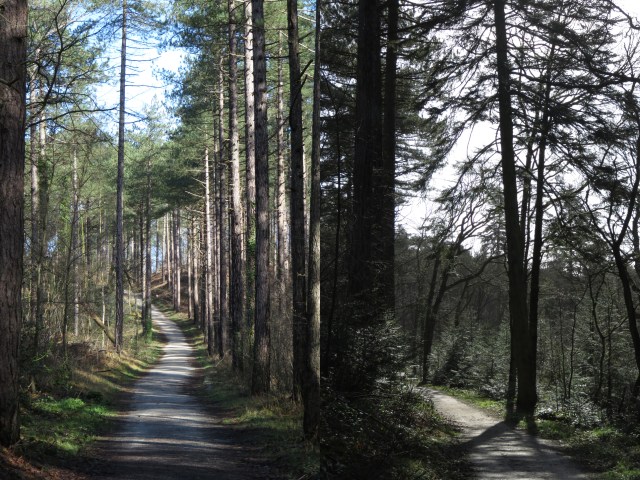 2020-03-11 05 Duinwandeling