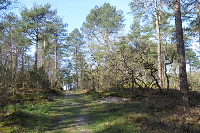 2020-03-11 06 Duinwandeling