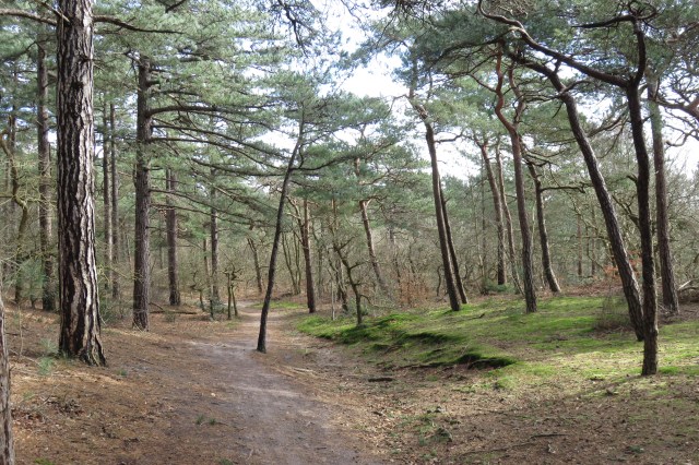 2020-03-11 09 Duinwandeling