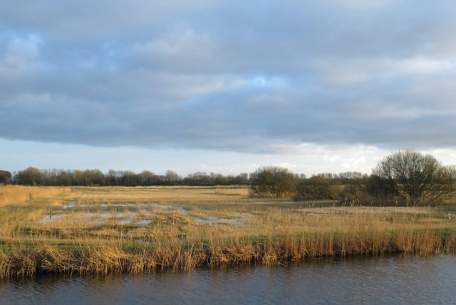 2020-03-20 05 Kleimeer