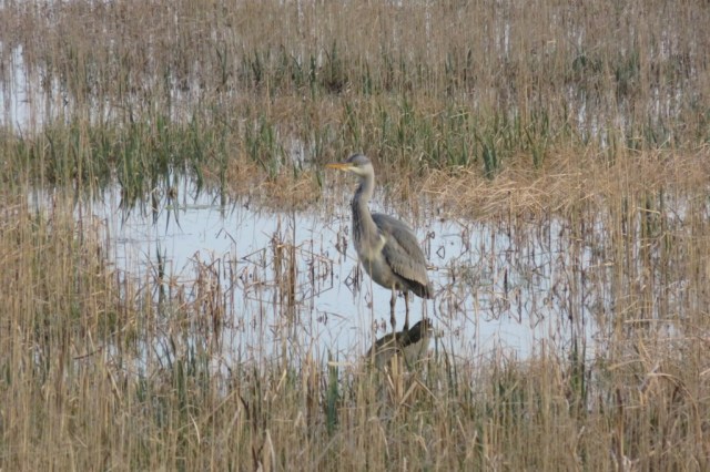 2020-03-20 06 Kleimeer