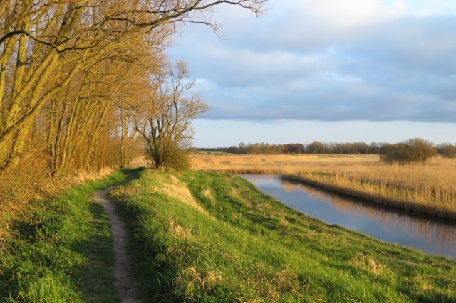 2020-03-20 07 Kleimeer