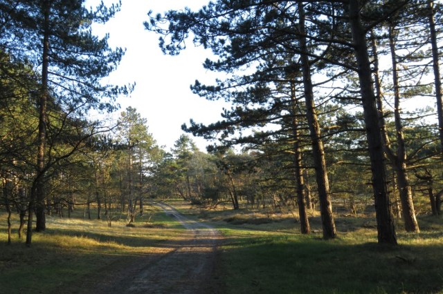 2020-03-21 04 Franschman