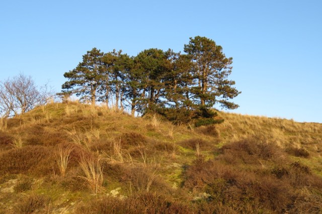 2020-03-21 05 Franschman