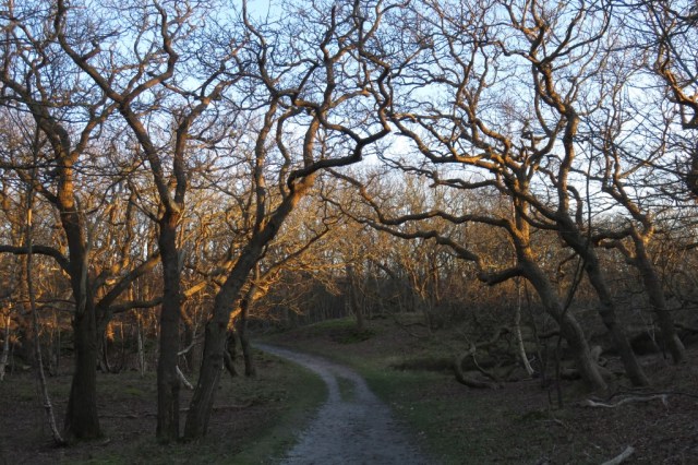 2020-03-21 06 Franschman