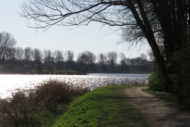 2020-03-22 05 Geestmerambacht