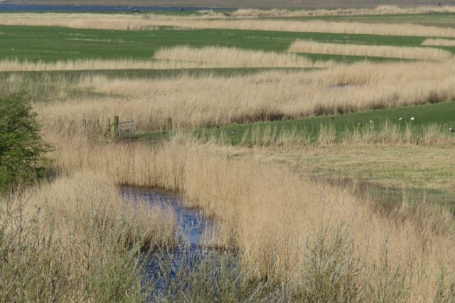 2020-03-22 06 Geestmerambacht