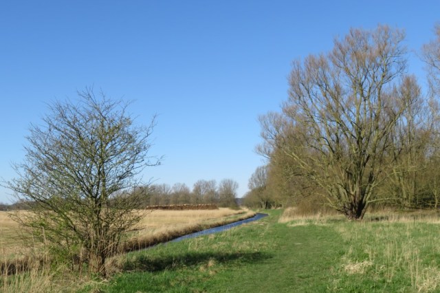 2020-03-22 08 Geestmerambacht