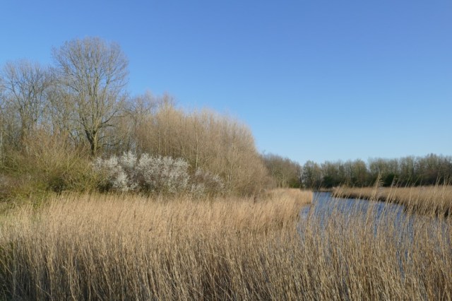 2020-03-23 02 Geestmerambacht