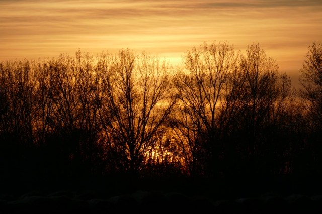 2020-03-24 07 Geestmerambacht