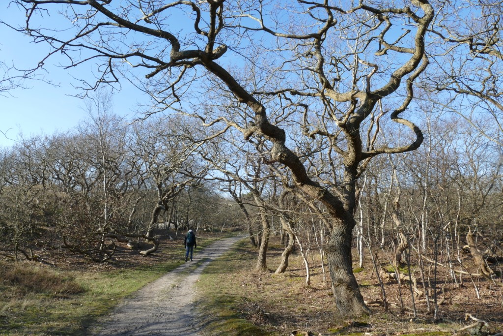 2020-03-25 01 Franschman