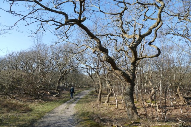 2020-03-25 01 Franschman