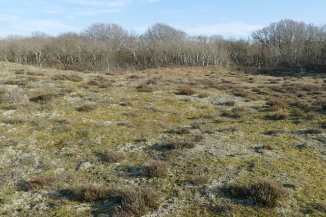 2020-03-25 02 Franschman