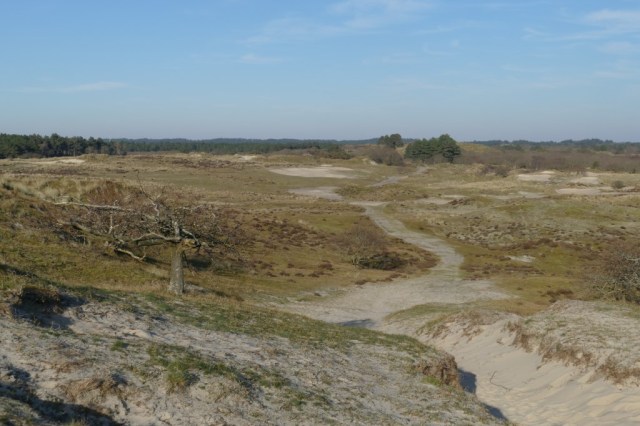 2020-03-25 03 Franschman