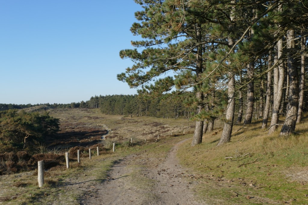 2020-03-25 05 Franschman