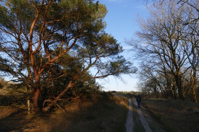 2020-03-25 07 Franschman