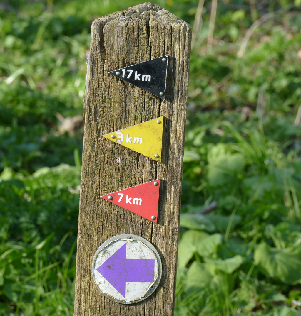 2020-03-26 01 Bakkum Noord