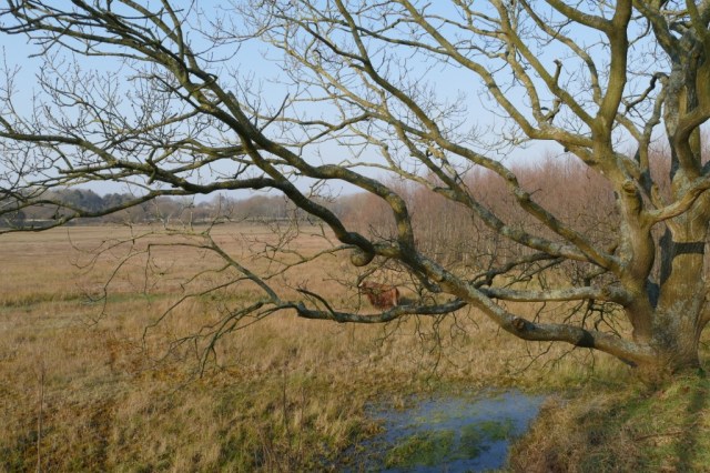 2020-03-27 01 Egmond Binnen