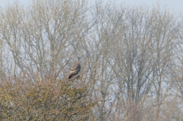 2020-03-27 03 Egmond Binnen