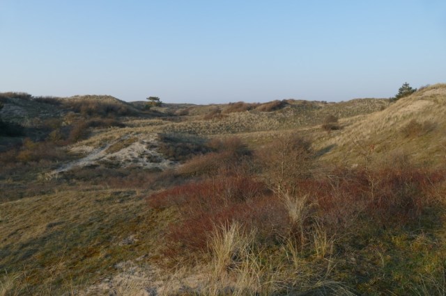 2020-03-27 05 Egmond Binnen