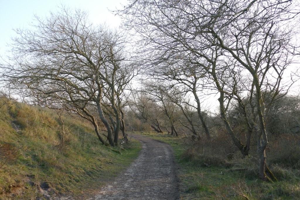 2020-03-27 06 Egmond Binnen